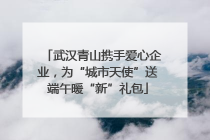 武汉青山携手爱心企业，为“城市天使”送端午暖“新”礼包
