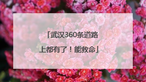 武汉360条道路上都有了！能救命