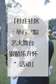 桂庄社区：举行“粽艺大舞台 银龄乐开怀”活动