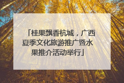 桂果飘香杭城，广西夏季文化旅游推广暨水果推介活动举行