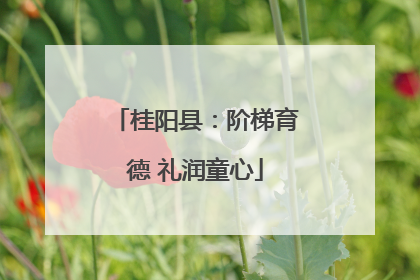 桂阳县：阶梯育德 礼润童心