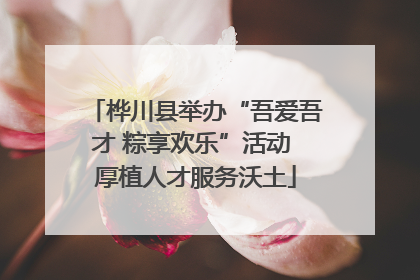 桦川县举办“吾爱吾才 粽享欢乐”活动 厚植人才服务沃土