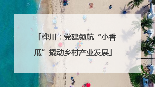 桦川：党建领航“小香瓜”撬动乡村产业发展