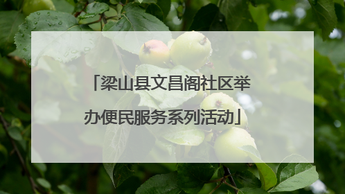 梁山县文昌阁社区举办便民服务系列活动