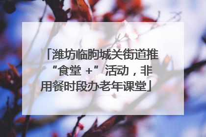 潍坊临朐城关街道推“食堂 +”活动，非用餐时段办老年课堂