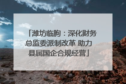 潍坊临朐：深化财务总监委派制改革 助力县属国企合规经营