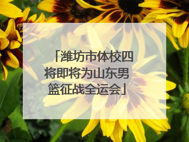 潍坊市体校四将即将为山东男篮征战全运会