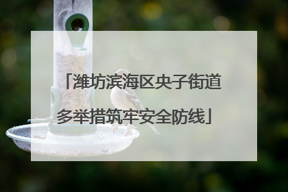 潍坊滨海区央子街道多举措筑牢安全防线