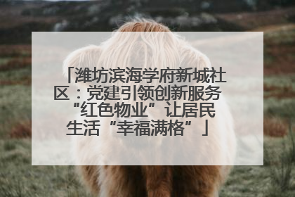 潍坊滨海学府新城社区：党建引领创新服务 “红色物业”让居民生活“幸福满格”