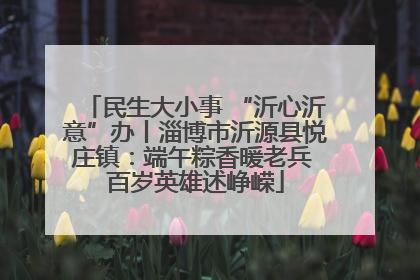 民生大小事 “沂心沂意”办丨淄博市沂源县悦庄镇：端午粽香暖老兵 百岁英雄述峥嵘