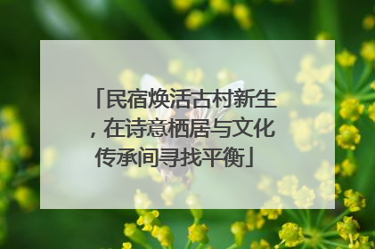 民宿焕活古村新生，在诗意栖居与文化传承间寻找平衡