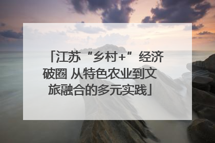 江苏“乡村+”经济破圈 从特色农业到文旅融合的多元实践