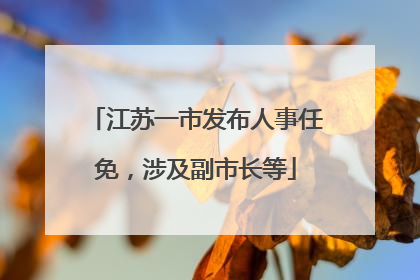 江苏一市发布人事任免，涉及副市长等