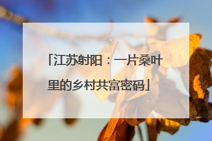 江苏射阳：一片桑叶里的乡村共富密码