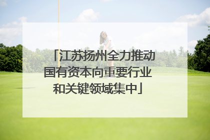 江苏扬州全力推动国有资本向重要行业和关键领域集中