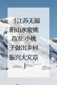 江苏无锡阳山水蜜桃首发 小桃子做出乡村振兴大文章