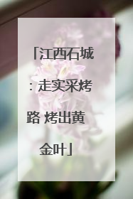 江西石城：走实采烤路 烤出黄金叶