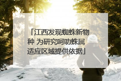 江西发现蜘蛛新物种 为研究呵叻蛛属适应区域提供依据