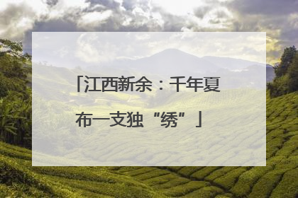 江西新余：千年夏布一支独“绣”