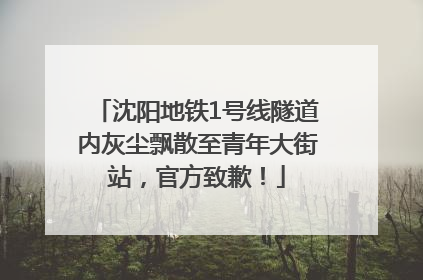 沈阳地铁1号线隧道内灰尘飘散至青年大街站，官方致歉！