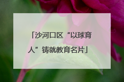 沙河口区“以球育人”铸就教育名片