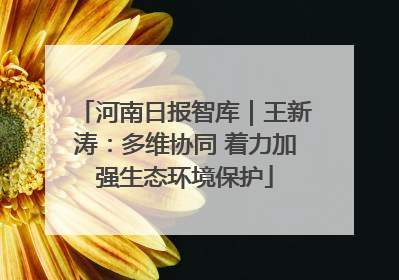 河南日报智库｜王新涛：多维协同 着力加强生态环境保护