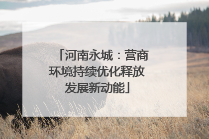 河南永城：营商环境持续优化释放发展新动能
