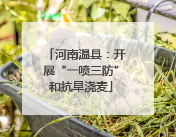 河南温县：开展“一喷三防”和抗旱浇麦