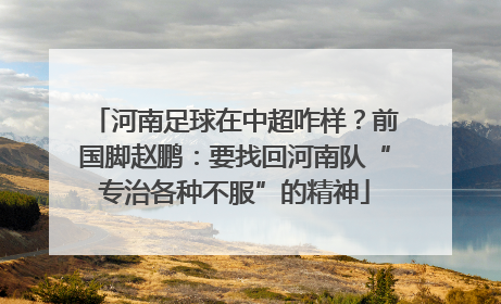 河南足球在中超咋样？前国脚赵鹏：要找回河南队“专治各种不服”的精神