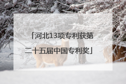 河北13项专利获第二十五届中国专利奖