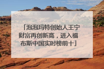 泡泡玛特创始人王宁财富再创新高，进入福布斯中国实时榜前十