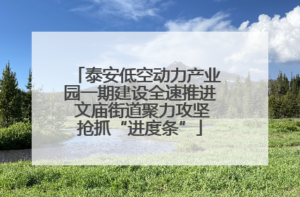 泰安低空动力产业园一期建设全速推进 文庙街道聚力攻坚抢抓“进度条”