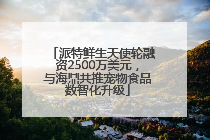 派特鲜生天使轮融资2500万美元，与海鼎共推宠物食品数智化升级