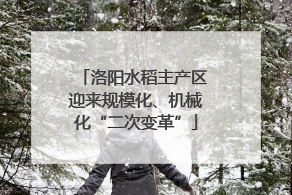 洛阳水稻主产区迎来规模化、机械化“二次变革”