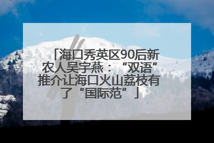海口秀英区90后新农人吴宇燕：“双语”推介让海口火山荔枝有了“国际范”