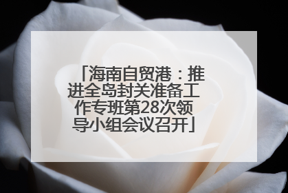 海南自贸港：推进全岛封关准备工作专班第28次领导小组会议召开