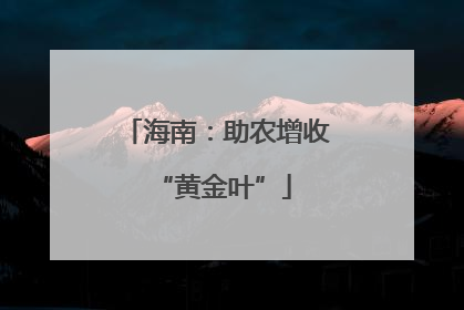 海南：助农增收 “黄金叶”