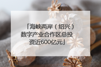 海峡两岸（绍兴）数字产业合作区总投资近600亿元