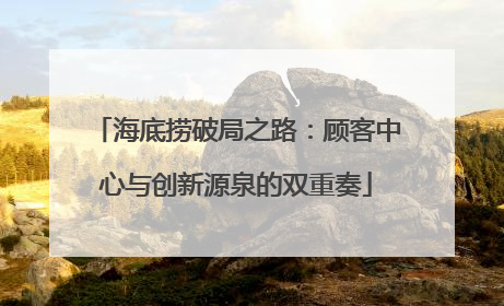 海底捞破局之路：顾客中心与创新源泉的双重奏