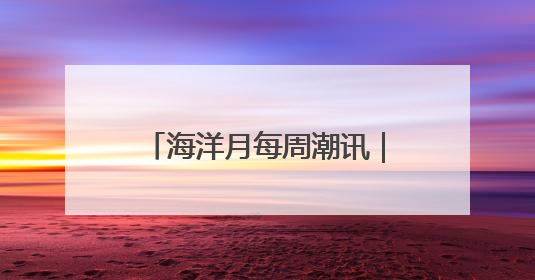 海洋月每周潮讯｜社群联动，多元场景共绘蔚蓝新章