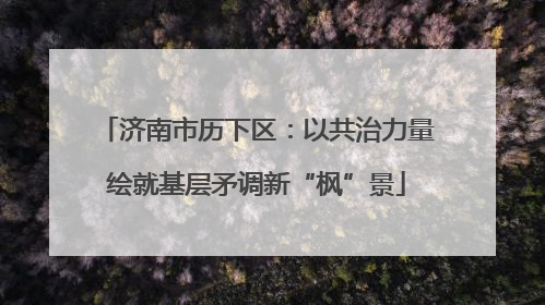 济南市历下区：以共治力量绘就基层矛调新“枫”景