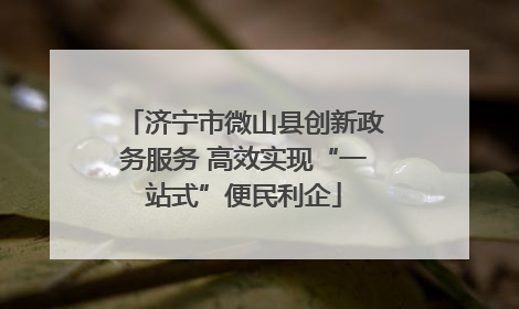 济宁市微山县创新政务服务 高效实现“一站式”便民利企