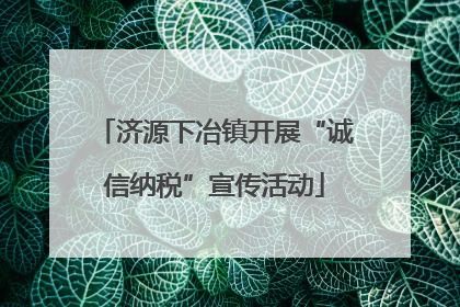 济源下冶镇开展“诚信纳税”宣传活动