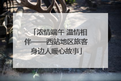 浓情端午 温情相伴——西站地区旅客身边人暖心故事