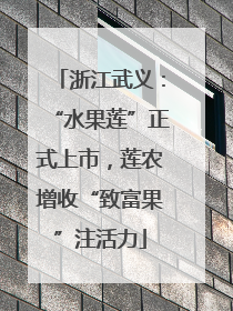 浙江武义：“水果莲”正式上市，莲农增收“致富果”注活力