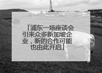 浦东一场座谈会引来众多新加坡企业，新的合作可能也由此开启