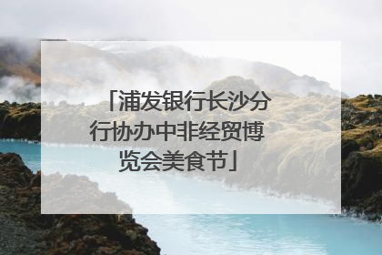 浦发银行长沙分行协办中非经贸博览会美食节