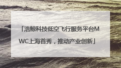 浩鲸科技低空飞行服务平台MWC上海首秀，推动产业创新