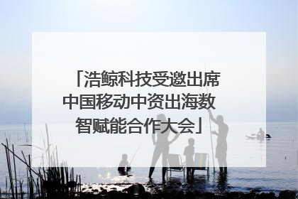 浩鲸科技受邀出席中国移动中资出海数智赋能合作大会