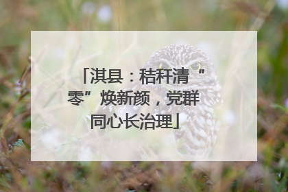 淇县：秸秆清“零”焕新颜，党群同心长治理